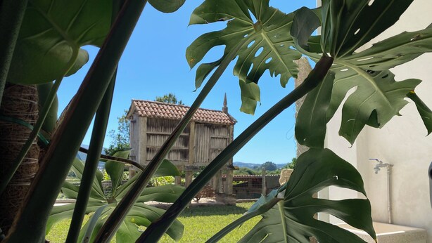 A building with a tiled roof and a garden with large green leaves in the foreground.