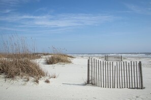 On the beach