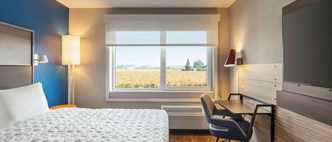 A hotel room with a bed, desk, and large window with a view of a field.