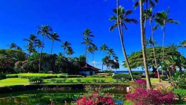 A tropical landscape with palm trees, a pond, and a building with a red roof.