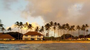 A beachfront property with palm trees, a beach, and houses.