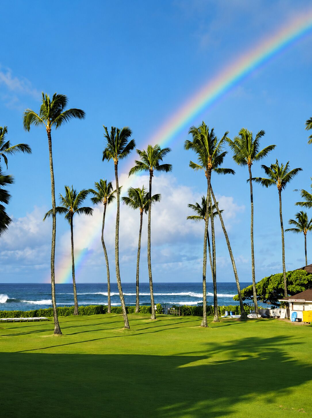 A golf course with palm trees and a view of the ocean.