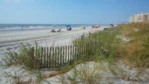 A beach with sand, grass, and a few umbrellas. - Indulge in stunning views from this expansive oceanfront condo featuring a large balcony and pool (North Myrtle Beach)