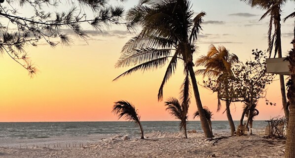 Sun loungers, beach towels