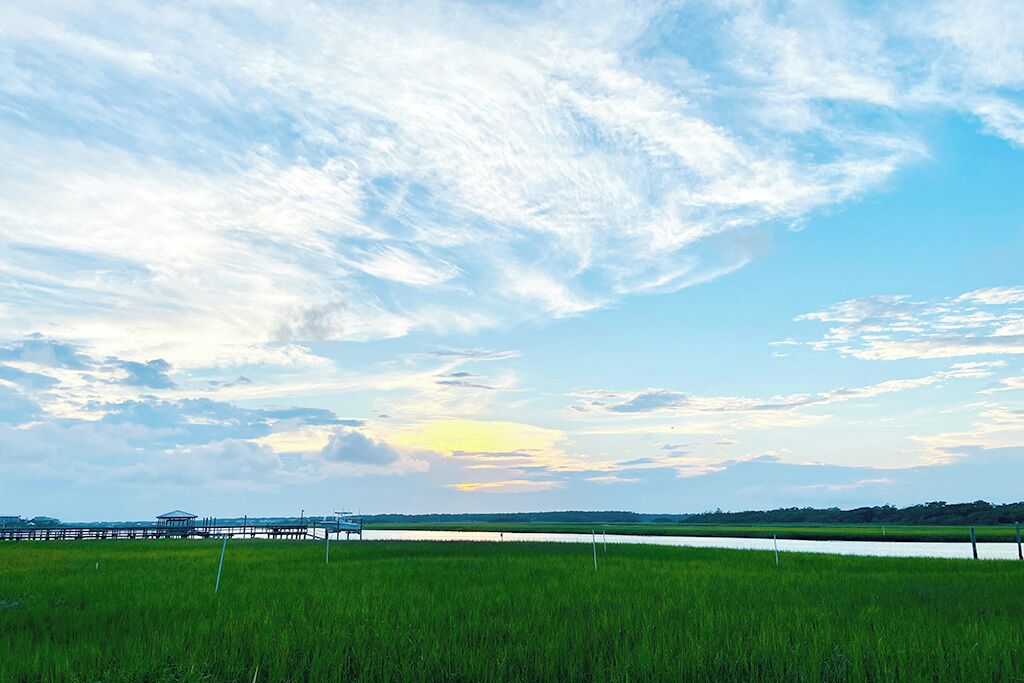 Un paysage côtier avec un premier plan herbeux, une étendue d’eau et une jetée en bois qui s’avance dans l’eau.