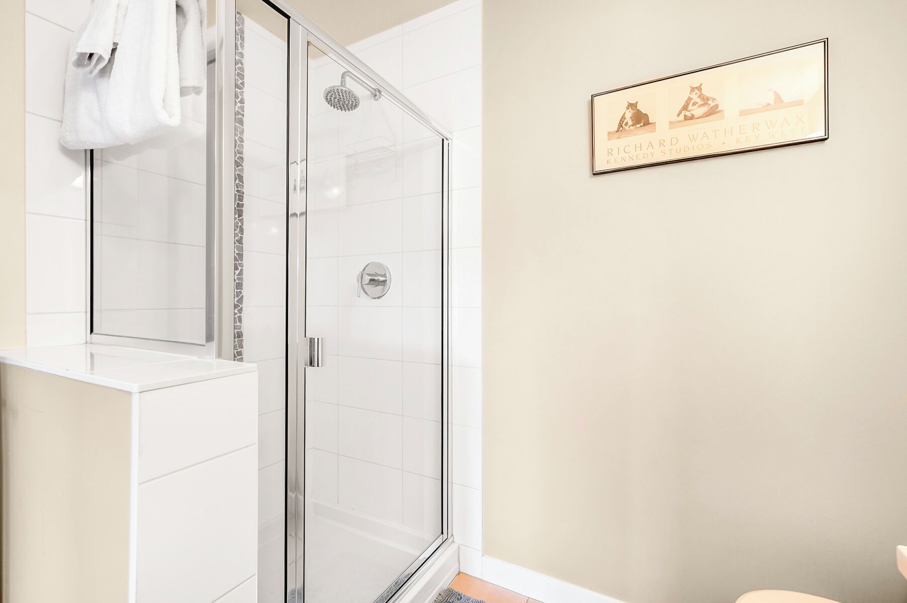 A modern bathroom with a glass-enclosed shower, a white vanity, and a framed picture of cats on the wall.