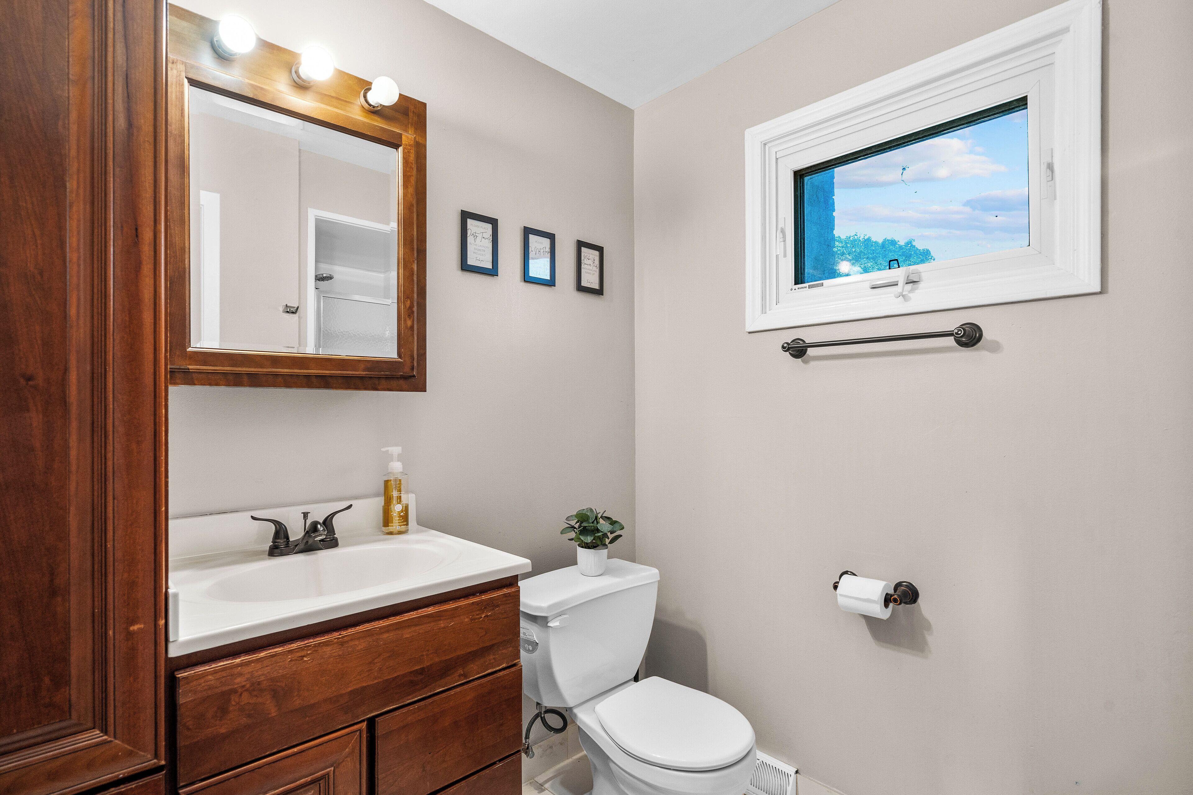 ヘアドライヤー、石鹸、シャンプー、トイレットペーパー