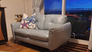 A grey leather sofa with a starfish pillow, a wooden floor, a fluffy rug, and a window with a view of the night sky. - Marina View, South Facing Balcony Sunny Apartment (East Cowes)