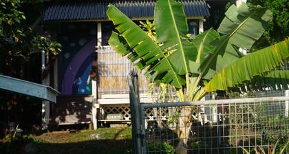 Peaceful farm stay on the hills of West Hawaii overlooking the pacific ocean!