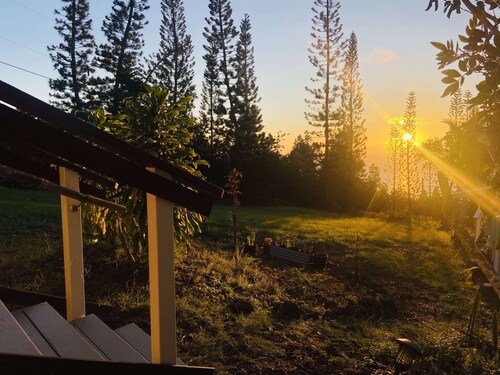 Peaceful farm stay on the hills of West Hawaii overlooking the pacific ocean! 