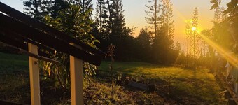Peaceful farm stay on the hills of West Hawaii overlooking the pacific ocean! 