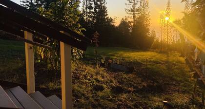 Peaceful farm stay on the hills of West Hawaii overlooking the pacific ocean!