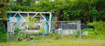 Peaceful farm stay on the hills of West Hawaii overlooking the pacific ocean!