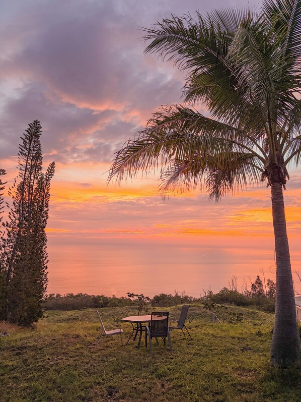 Una mesa y sillas colocadas al aire libre, con una palmera y un pino de fondo.