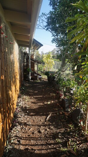 Property grounds - Peaceful farm stay on the hills of West Hawaii overlooking the pacific ocean! (Captain Cook)