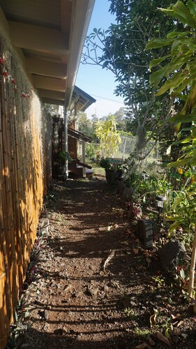 Peaceful farm stay on the hills of West Hawaii overlooking the pacific ocean! 