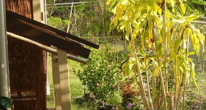 Peaceful farm stay on the hills of West Hawaii overlooking the pacific ocean!