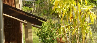 Peaceful farm stay on the hills of West Hawaii overlooking the pacific ocean!