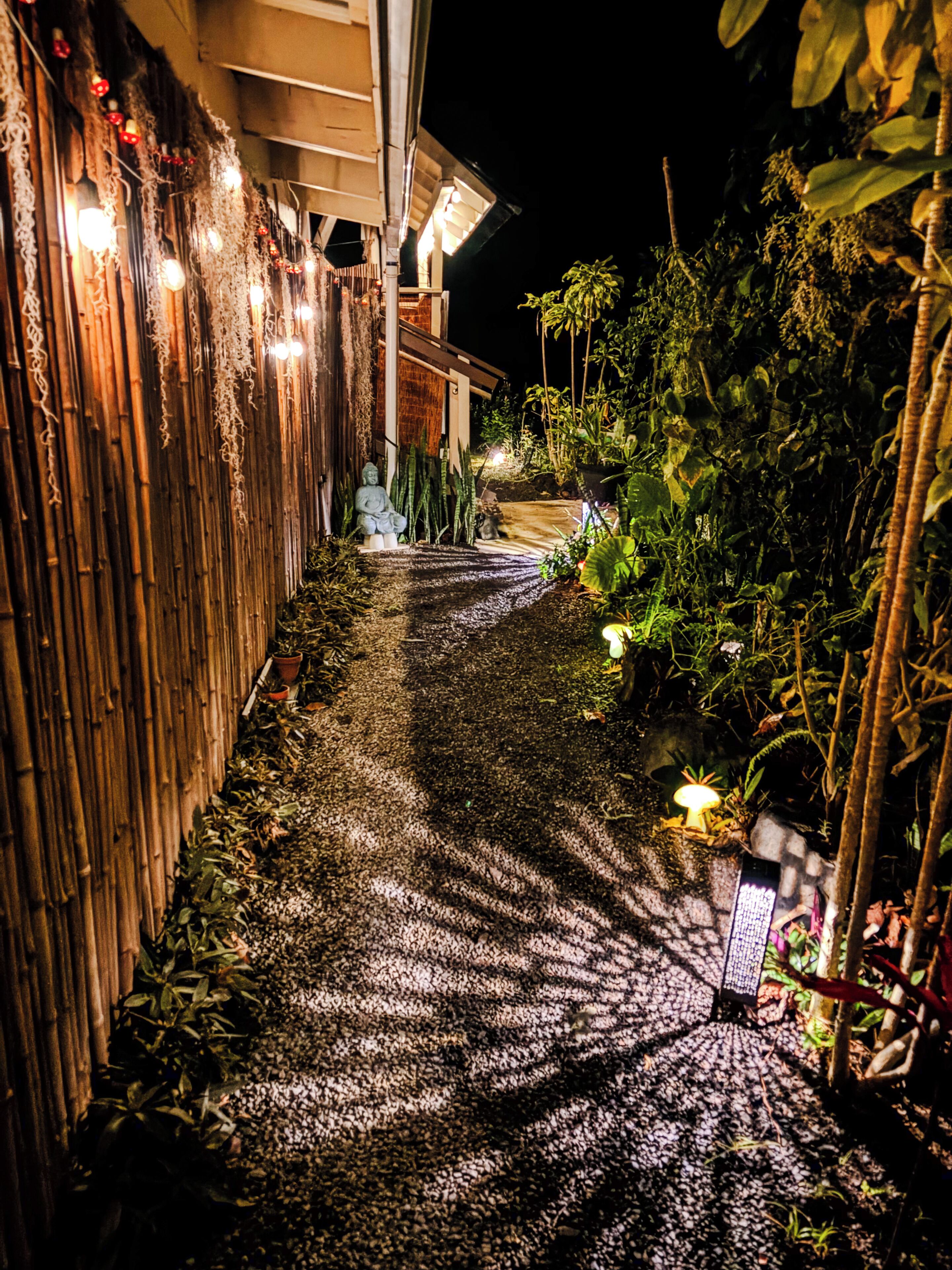 Un chemin menant à un bâtiment entouré d’une clôture en bambou et agrémenté de plantes en pot.