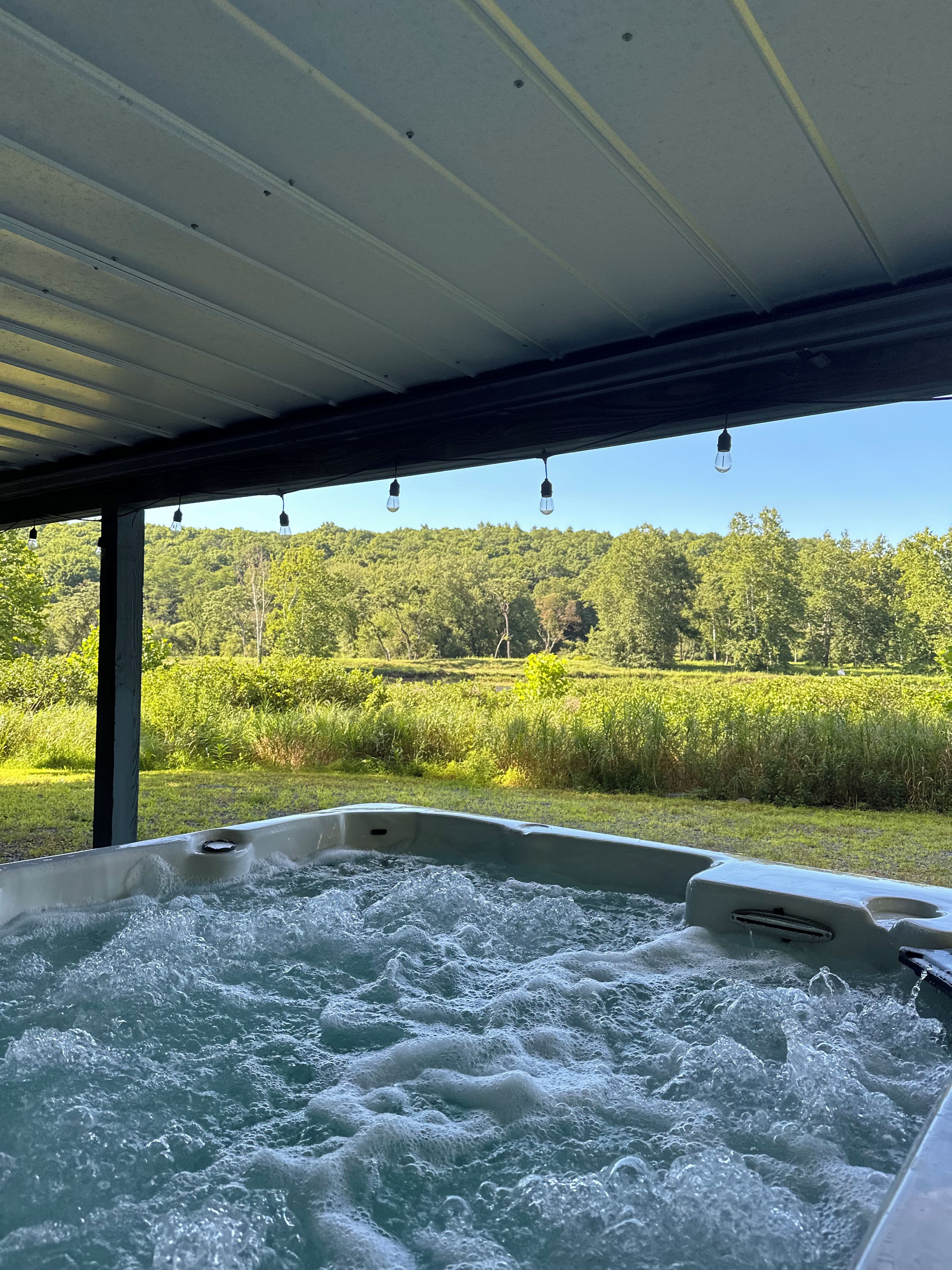 A hot tub with a view of a forested landscape.