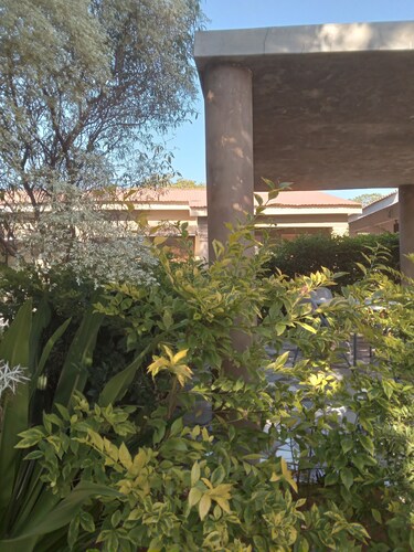 Rosewood Safari Cottages