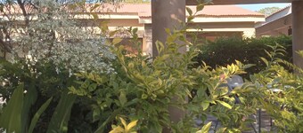 Rosewood Safari Cottages