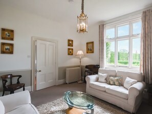 电视、壁炉、DVD 播放器