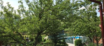 Villa Rubcic - Studio Apartment with Terrace and Poold View