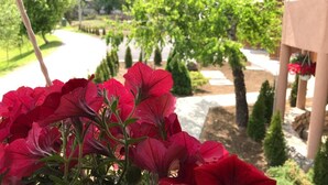 A garden with red flowers in the foreground and a pathway leading to a building. - One bedroom apartment (Rakovica)