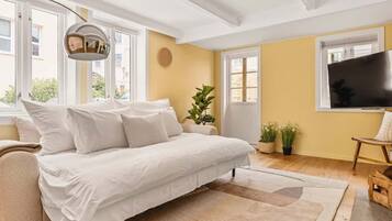 TV, peis, bøker og kontorer