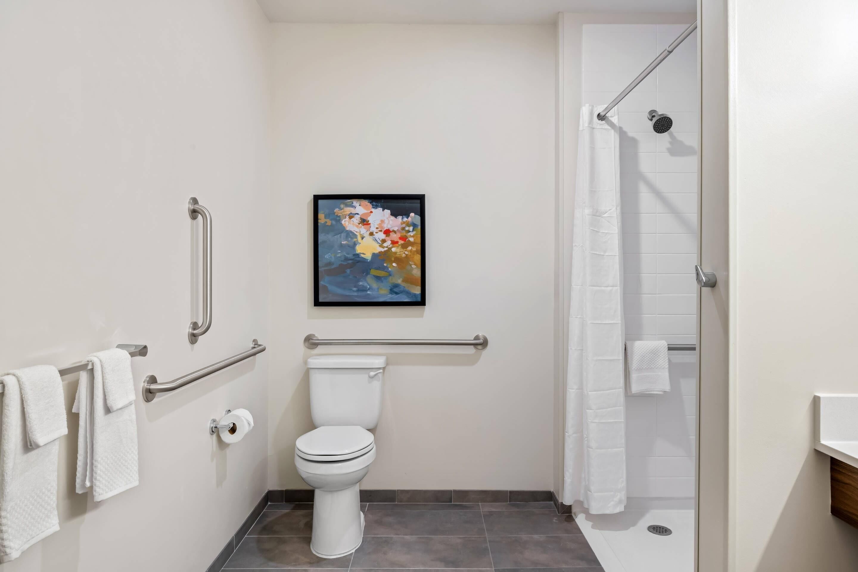 A bathroom with a toilet, handrails, a shower, and a framed artwork on the wall.