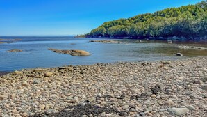 Une côte rocheuse offrant une vue dégagée sur la mer, avec une colline boisée en arrière-plan.