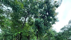 A park with green grass, trees, and red benches. - BLUE BREEZE (Dapoli)