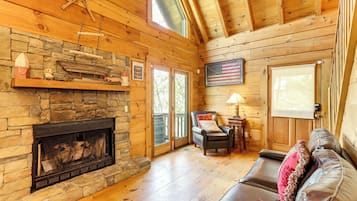 TV, fireplace, video games, DVD player