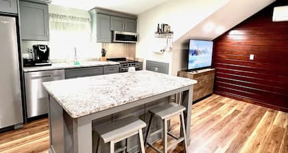 Modern Open Floor Plan Guest Apt with King