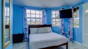 Une chambre à coucher avec un lit, une télévision et une porte.