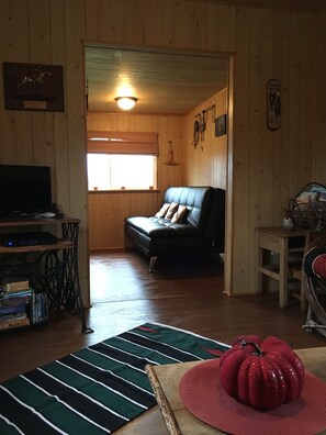 Smart TV, chimenea y libros 