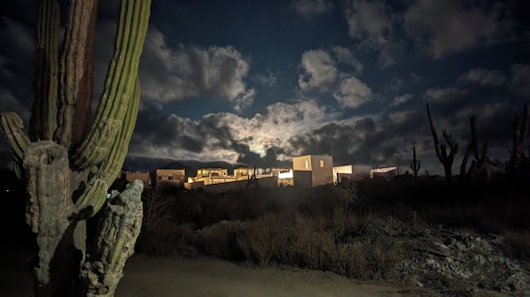 A desert landscape with a cactus, a dirt road, and a modern building with multiple rooms under a starry sky.
