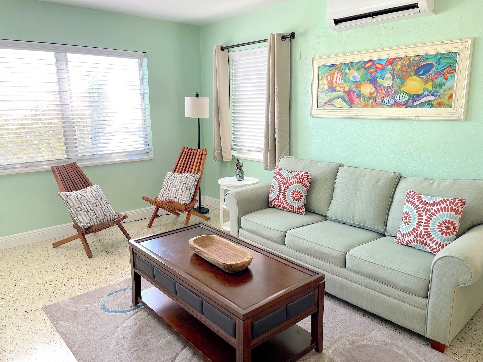 Smart TV, DVD player, books, video library