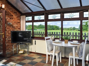 A room with a TV, a table with chairs, a window with a view of greenery, and a brick wall.