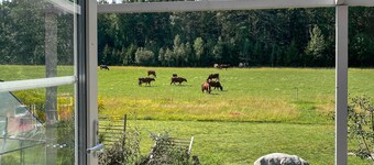 Härligt hus i Nyköping med havsutsikt