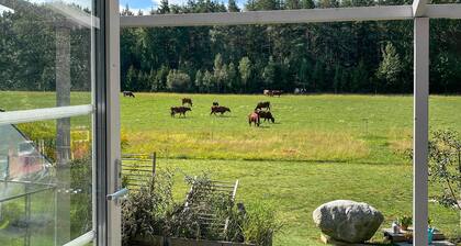 Awesome home in Nyköping