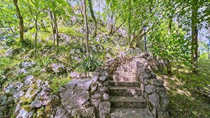 A stone staircase leading up a rocky path surrounded by lush greenery. - Beautiful home in Donji Zvecaj with WiFi (Donji Zvecaj)