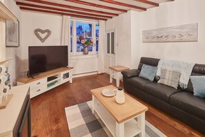TV, DVD player, books, video library