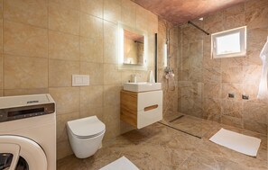 Shower, hair dryer