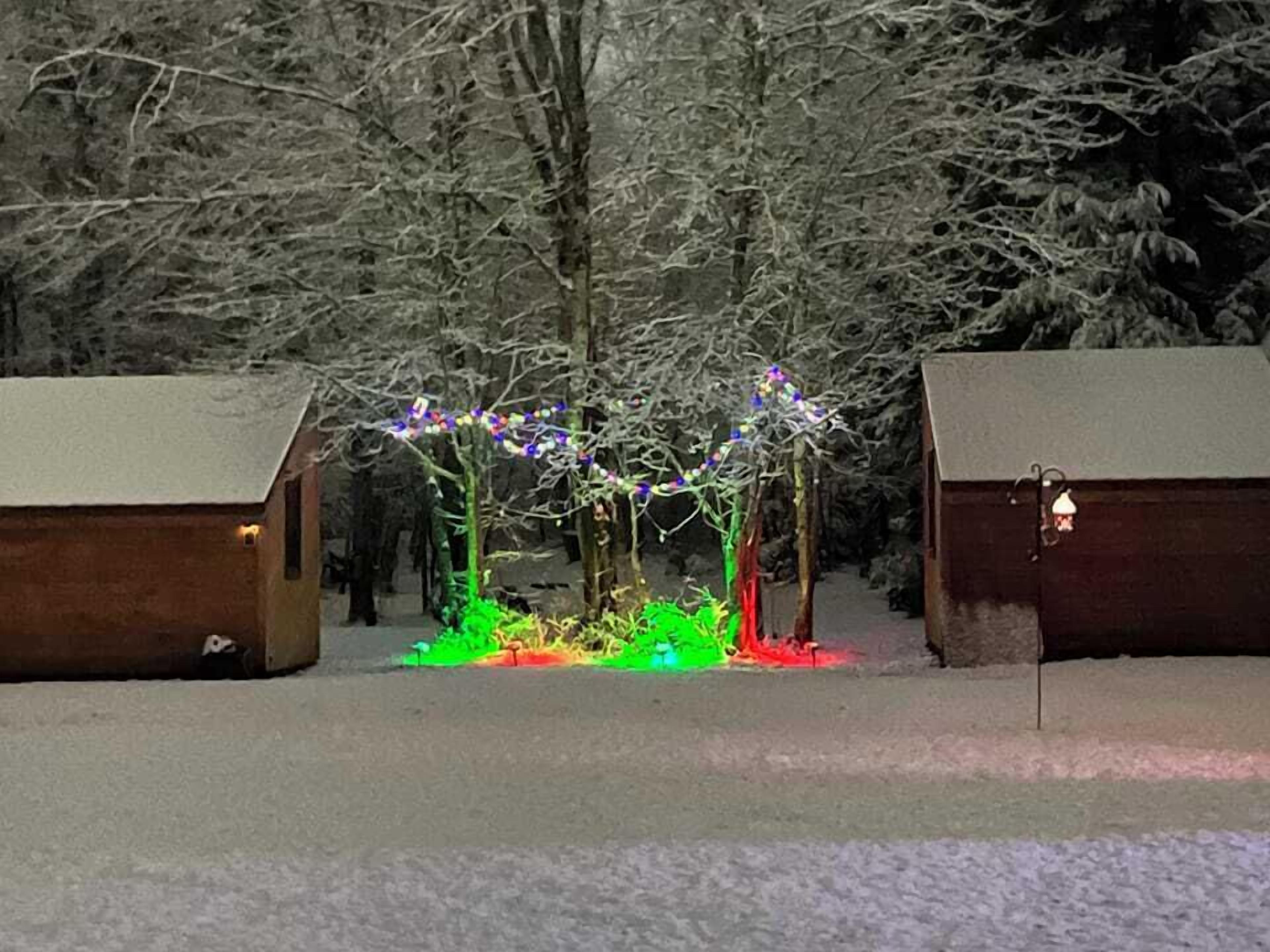A snowy landscape with two wooden cabins and a tree decorated with colorful lights.