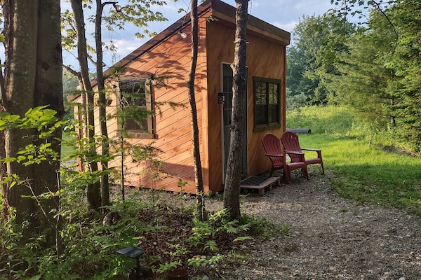 Economy Cabin | Terrace/patio
