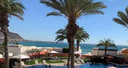 Amazing Oceanview Suite with Beach Club Access & Golf Cart