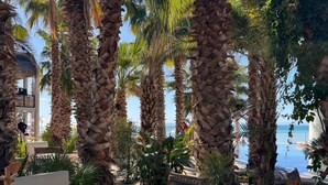 Un salón junto a la playa con palmeras, asientos al aire libre y vista al océano.