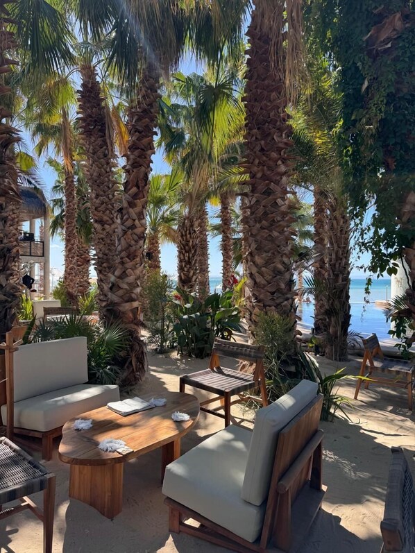 A beachside lounge with palm trees, outdoor seating, and a view of the ocean.